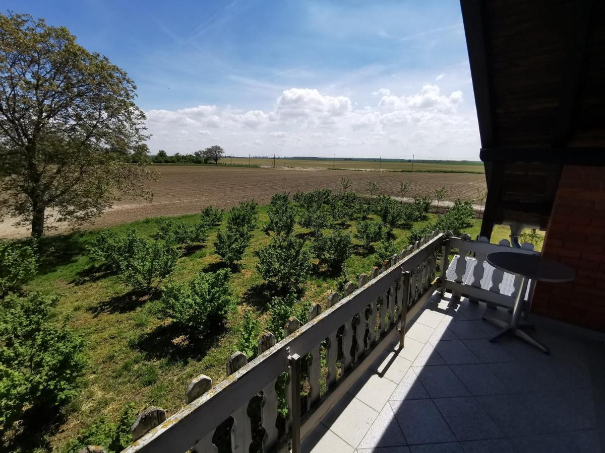 SotinKuca Za Odmor Bella别墅 外观 照片